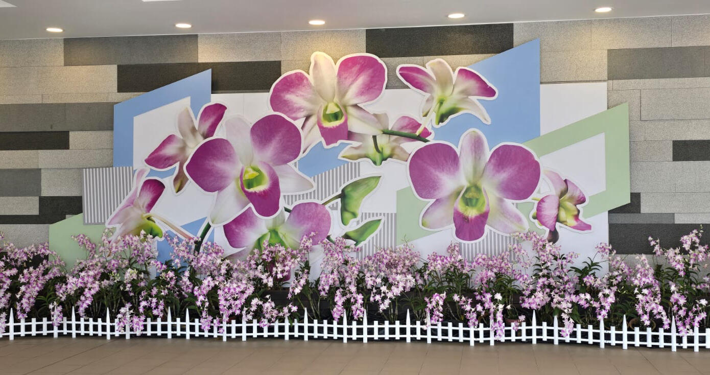Kaneko Orchid Mural Installation